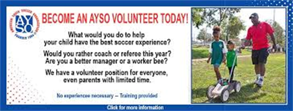 Become a Volunteer